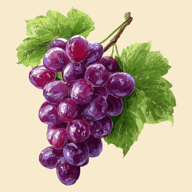 rote Weintrauben