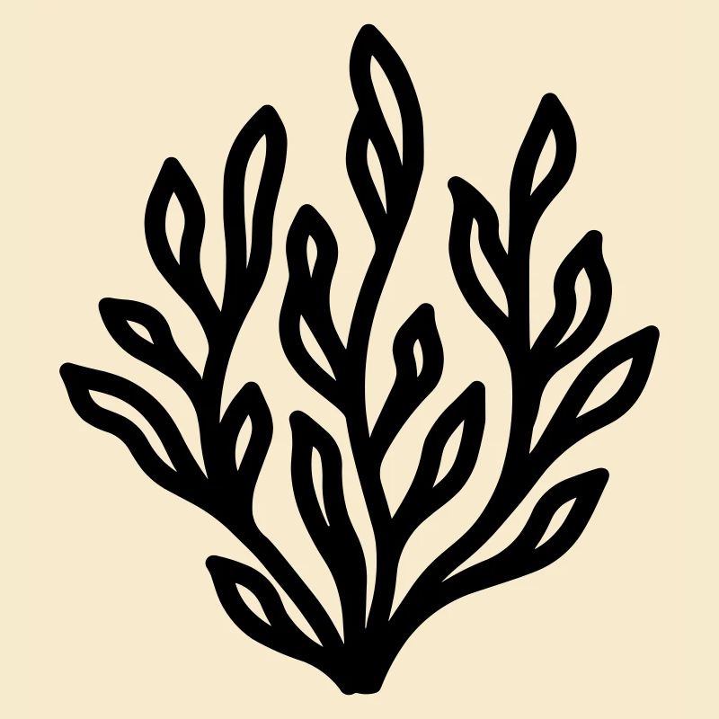 algue