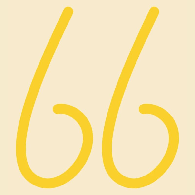 66