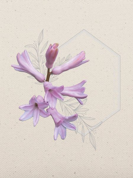Du bist wunderschön – elegantes rosa Blumendesign