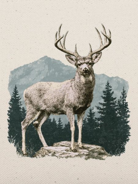 Hirsch mit Geweih
