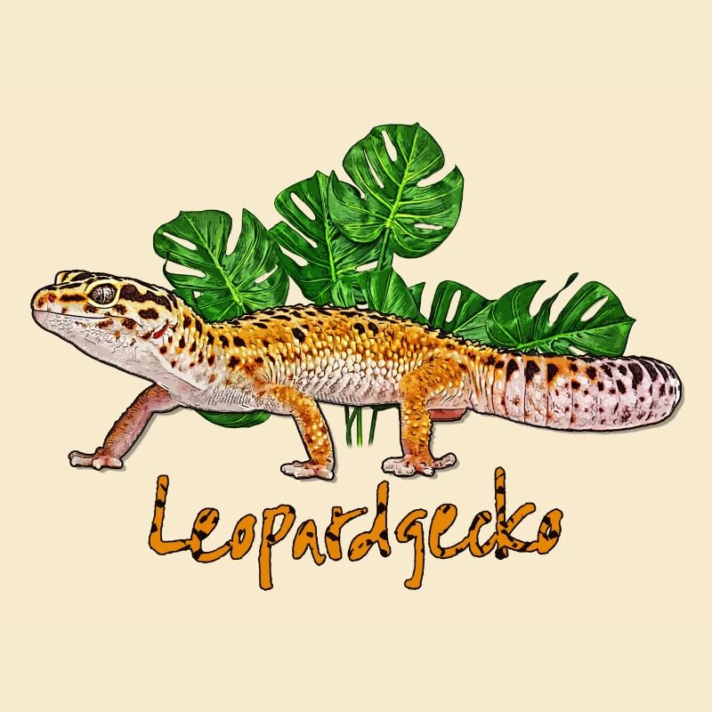 Leopardengecko