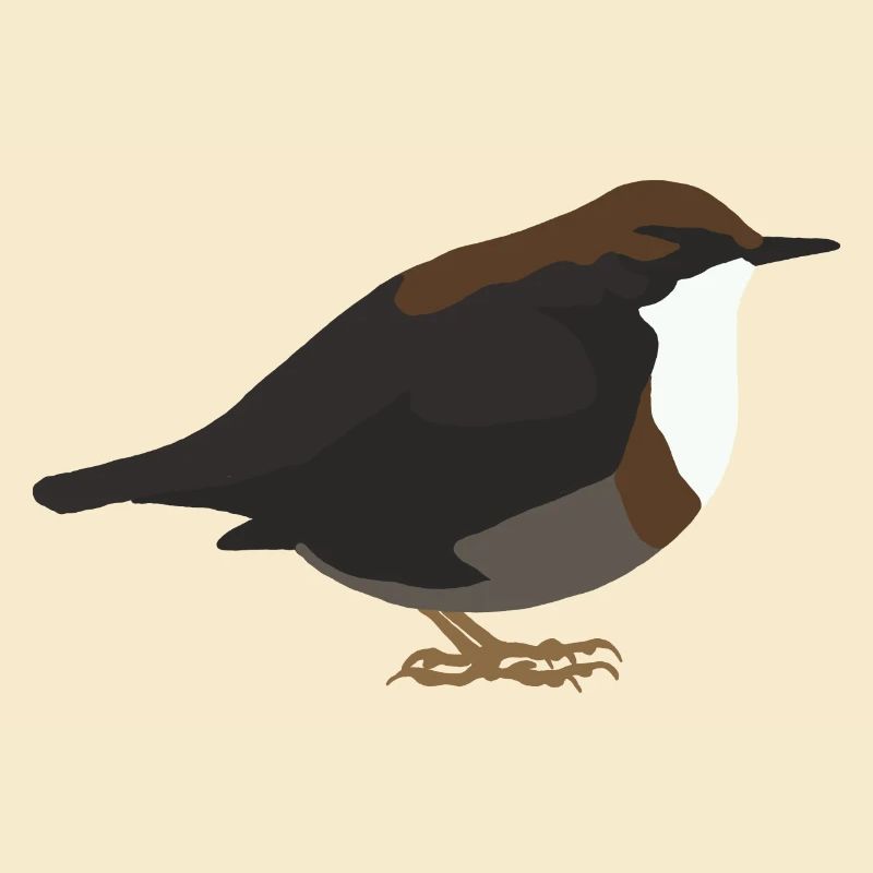 Wasseramsel