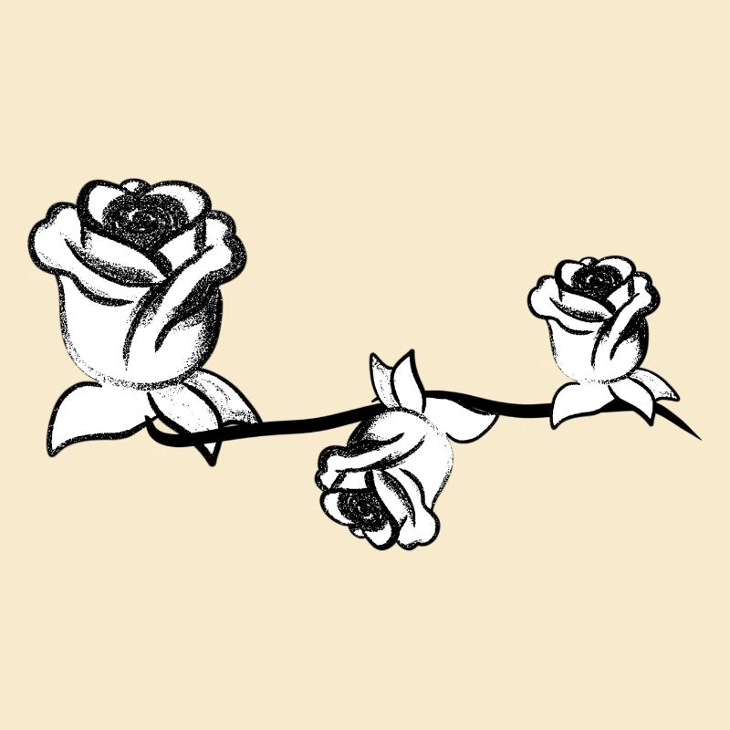 Three plants rose flower rose stroke