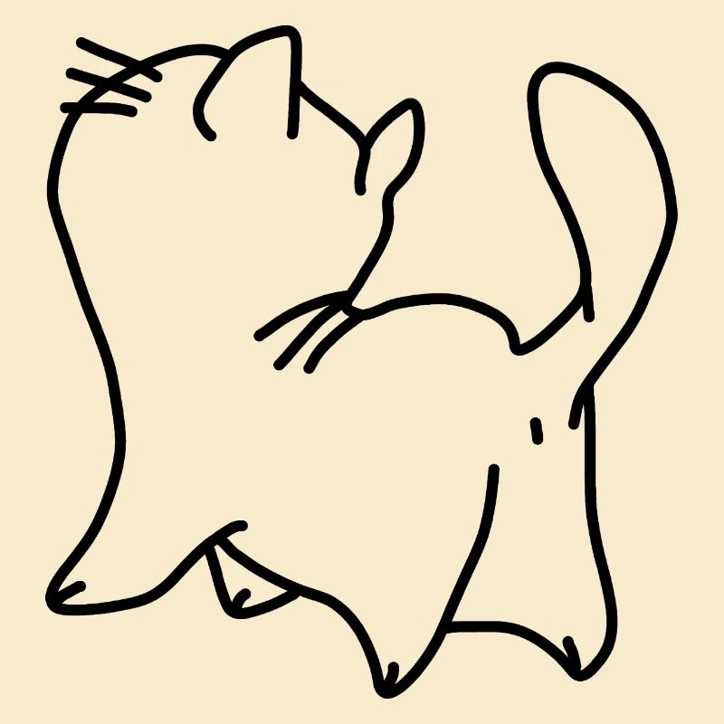 Katze Kätzchen Klein