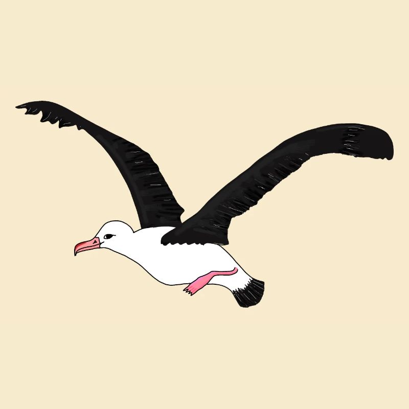 Albatros
