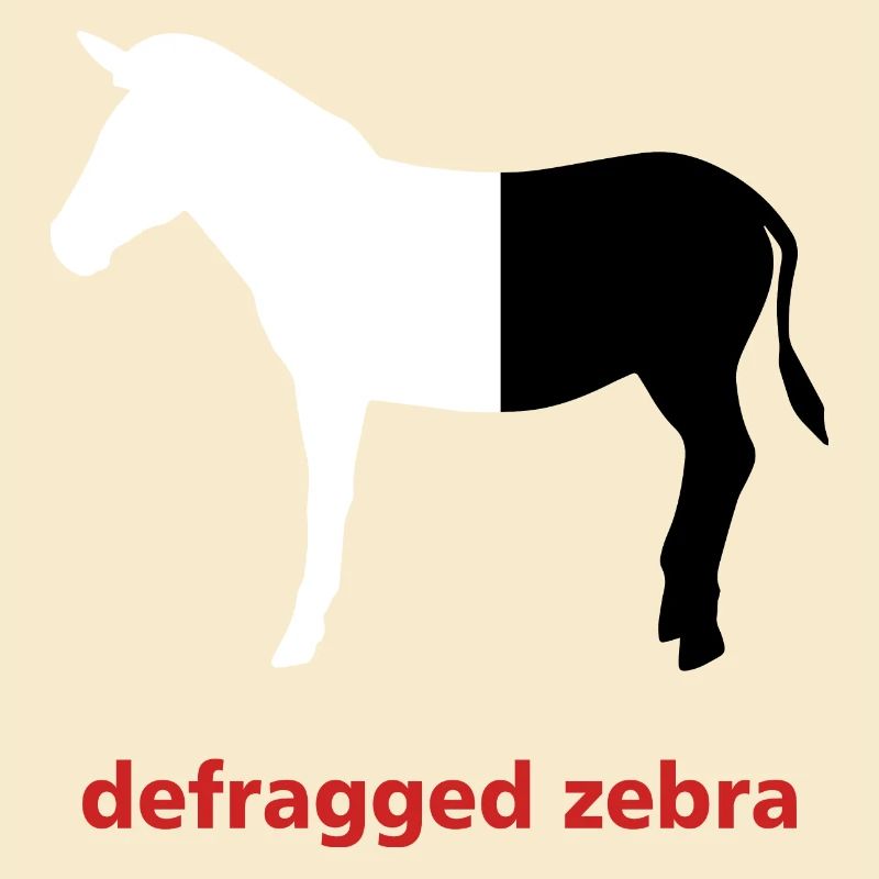 Defragged zebra Informatik Programming Geschenk