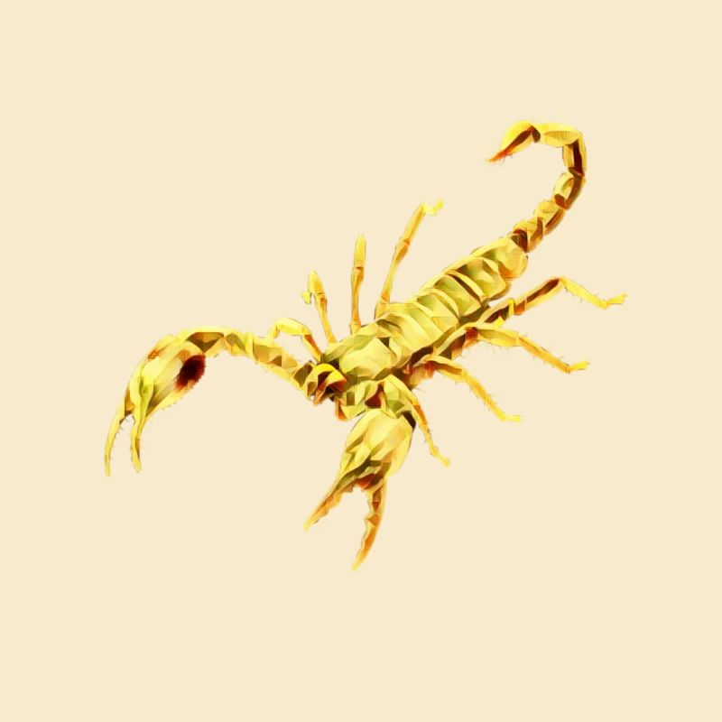 Skorpion