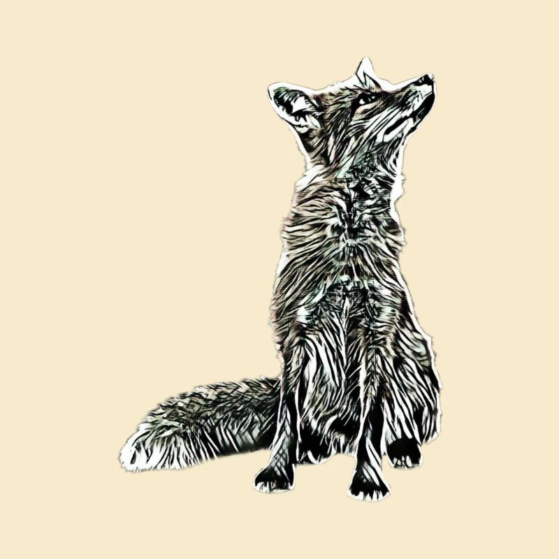 Fuchs