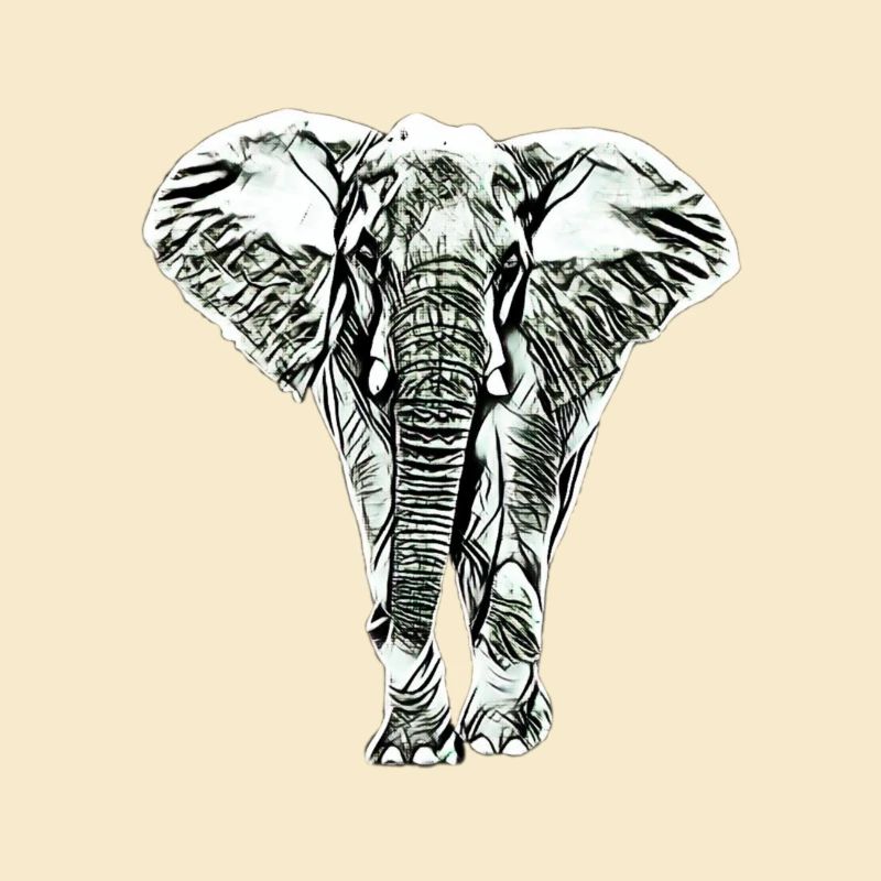Elefant