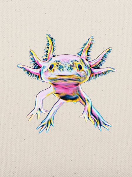 Axolotl