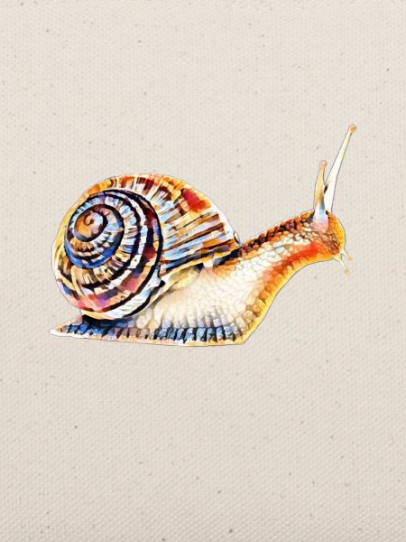 slug