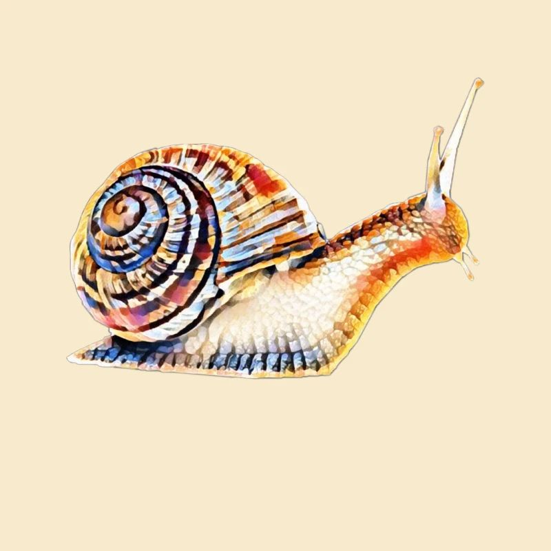 Escargot