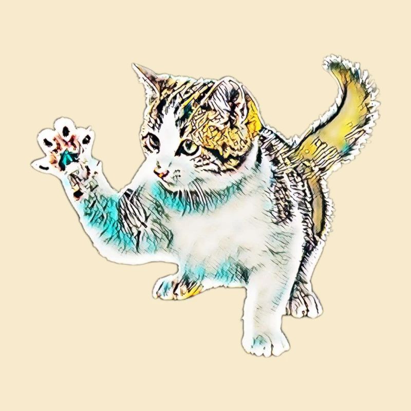 Katze