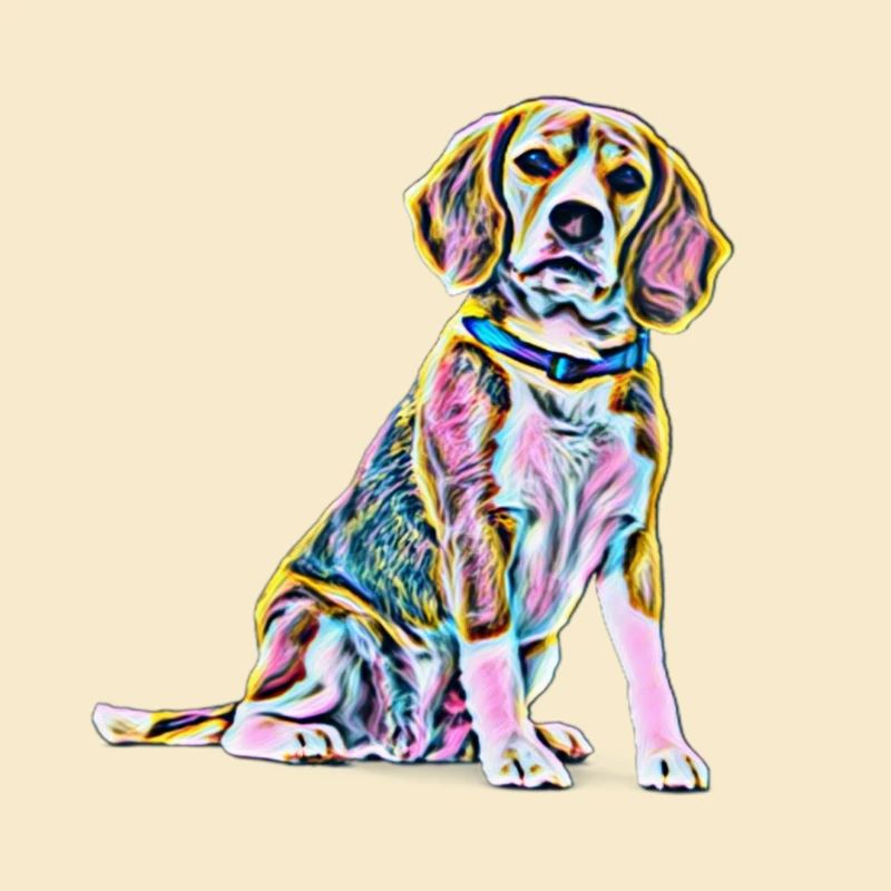 Beagle