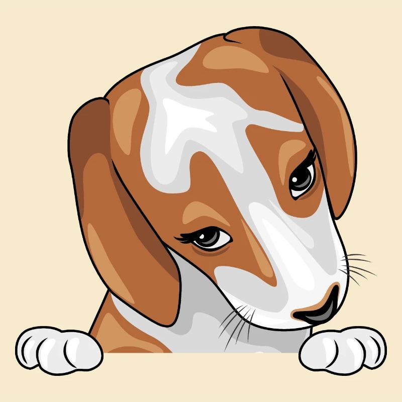 Spähen schüchterner Beagle-Welpe