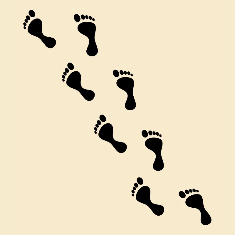 feet