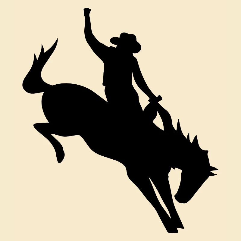 Cowboy beim Rodeo