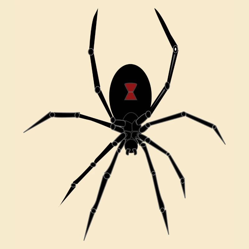spid 26