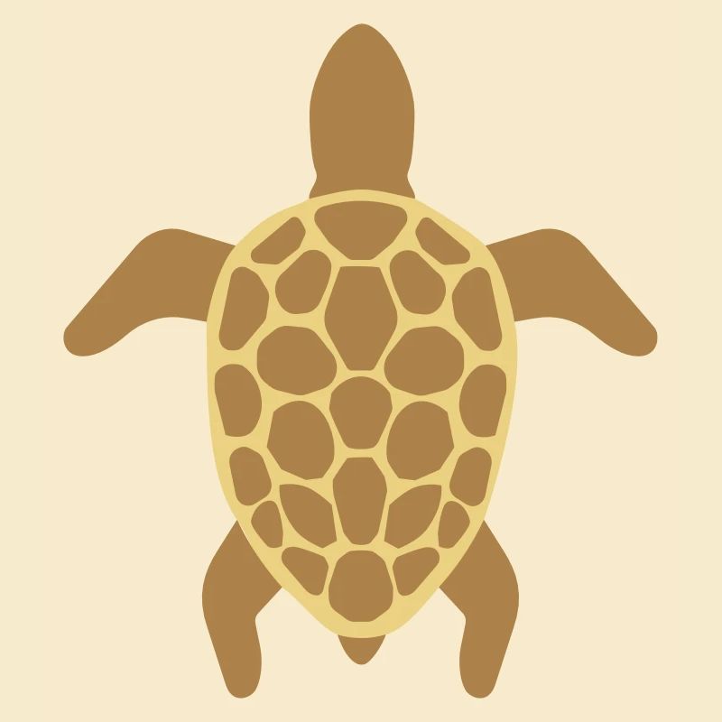 sea turtle