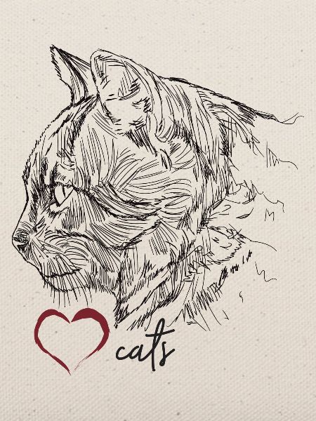 Katzengesicht
