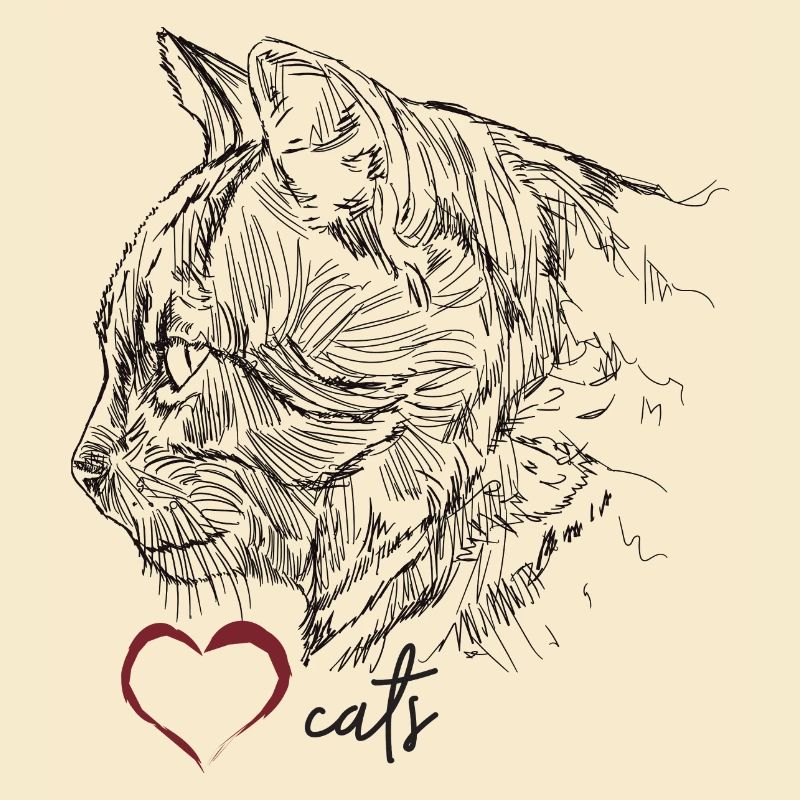 Katzengesicht