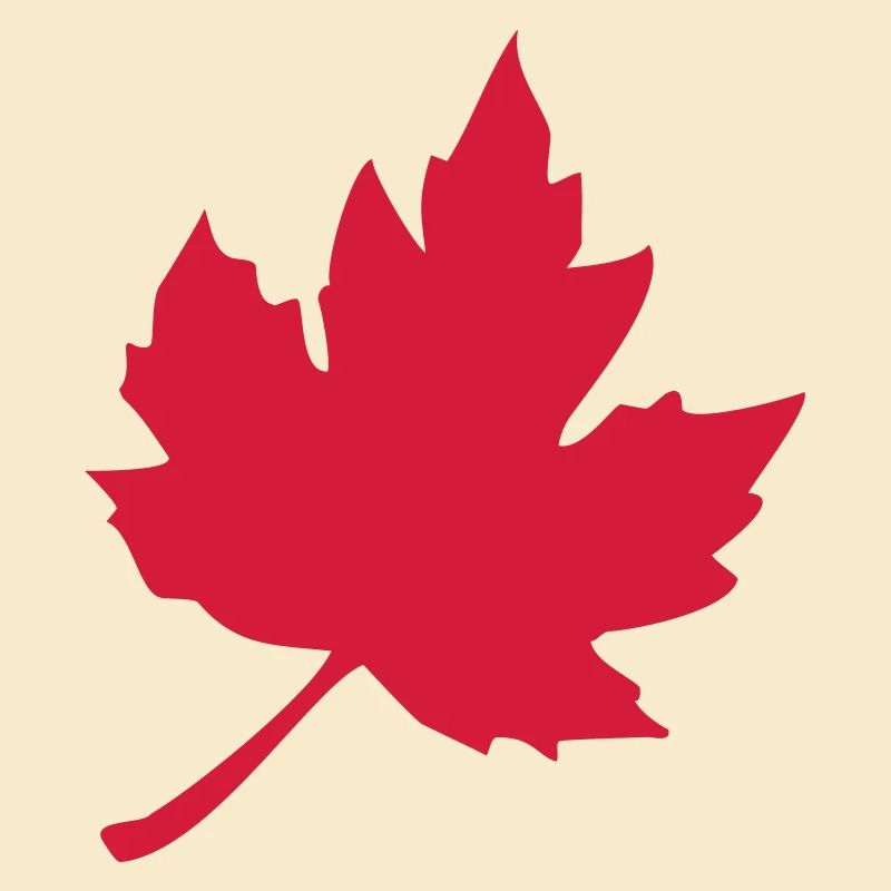 feuilles d'érable