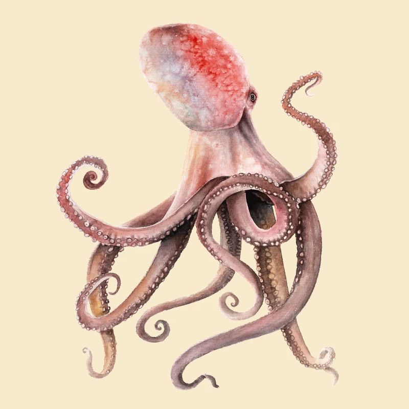 Krake