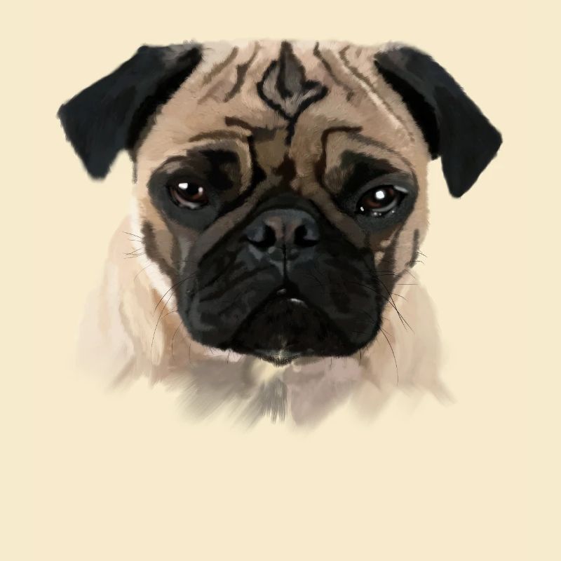 mops