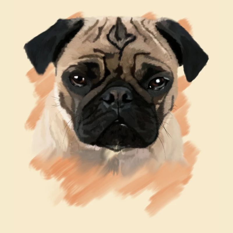 mops