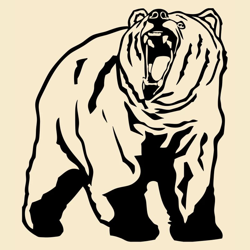 Grizzly - Bear - Bär