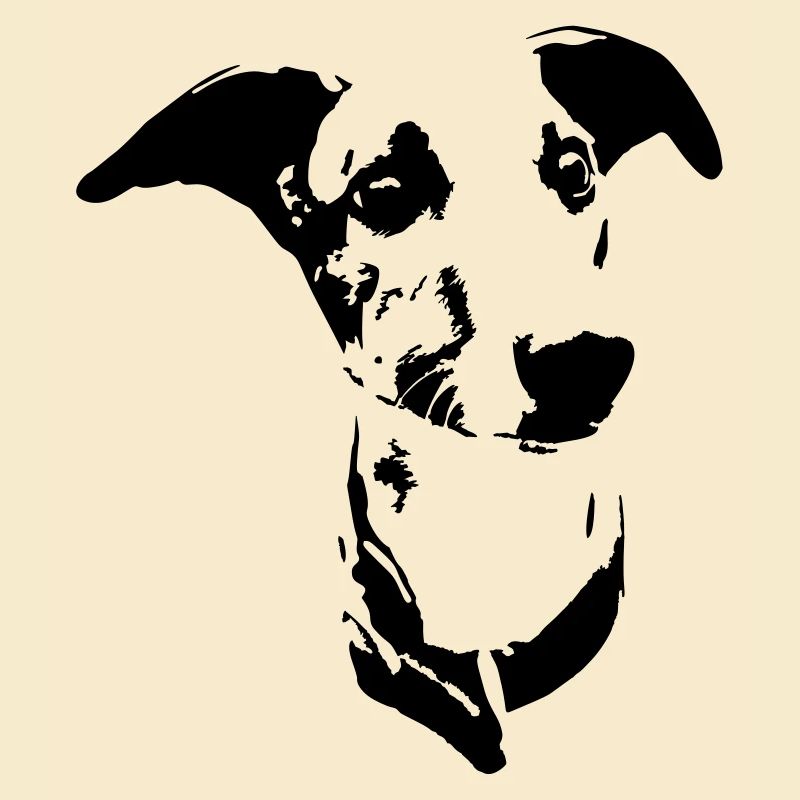 Whippet Kopf