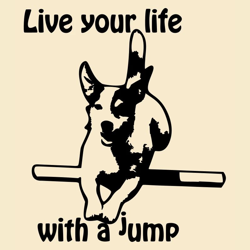Agility Jack Russel Terrier