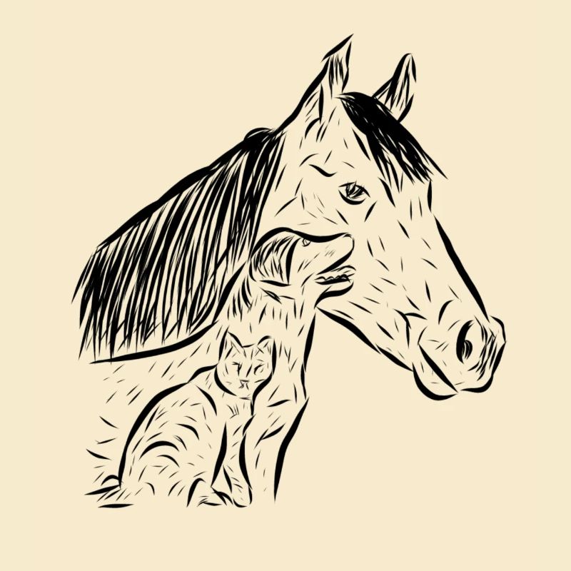 Pferd, Katze und Hund
