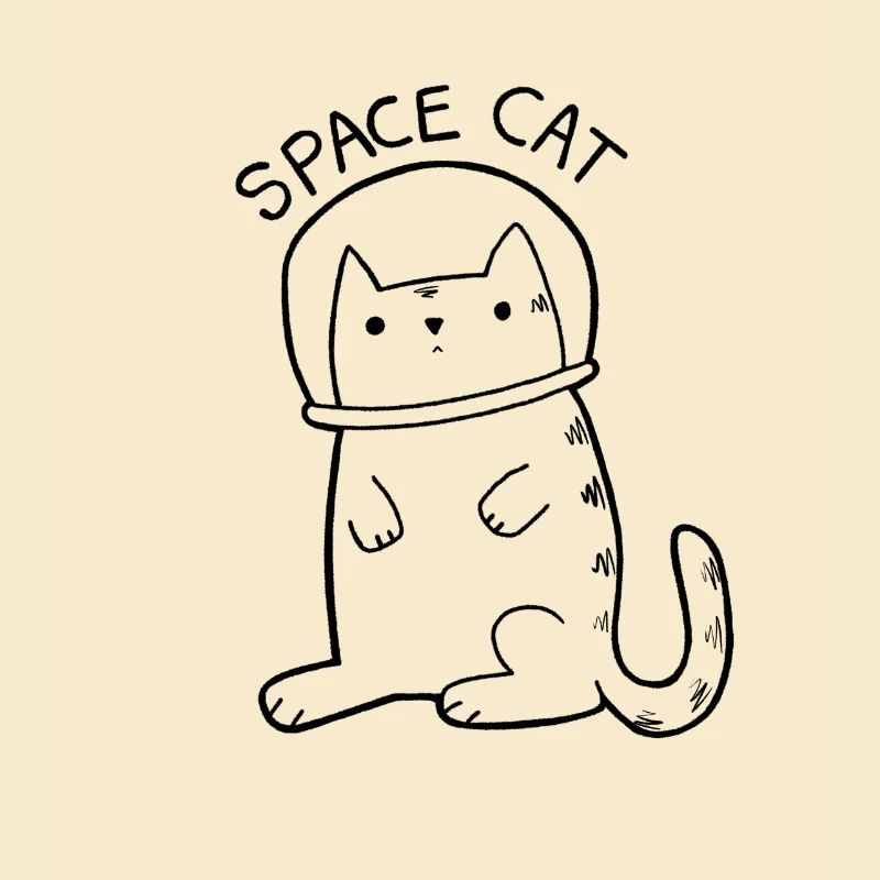 Chat de l'espace