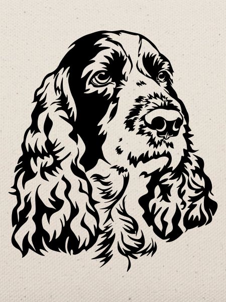Englischer Springer Spaniel Kopf