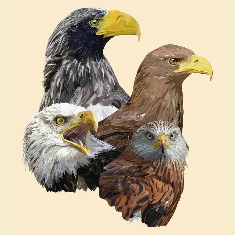 Greifvogel