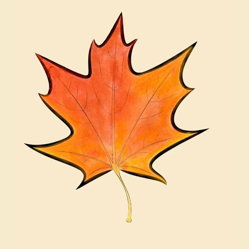 Maple leaf