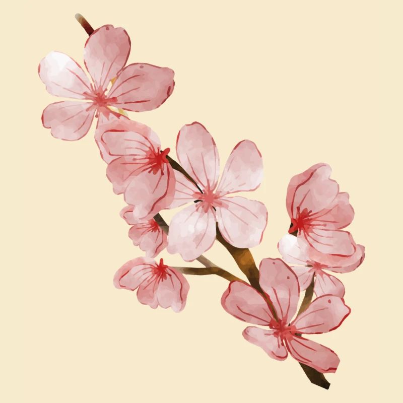 Kirschblüte