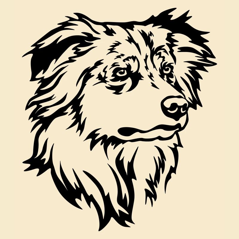 Australian Shepherd Kopf
