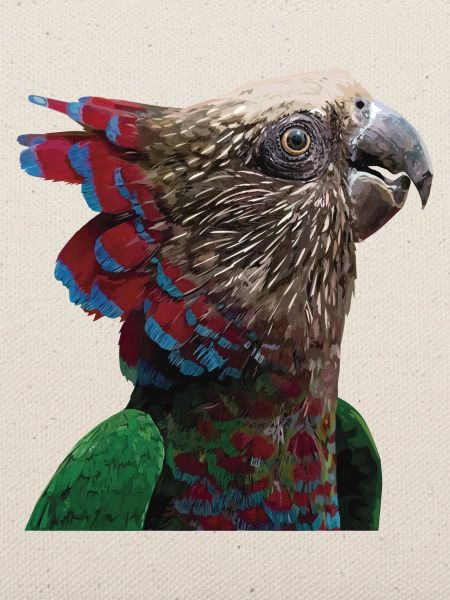 Der Cacique-Papagei