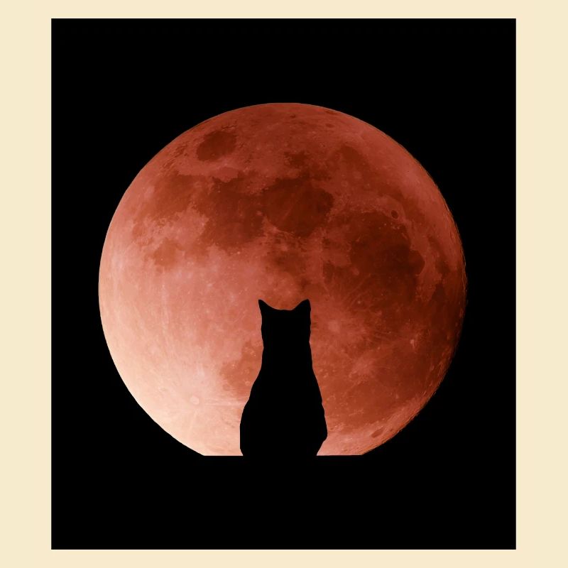 Katze, die den Mond bewundert