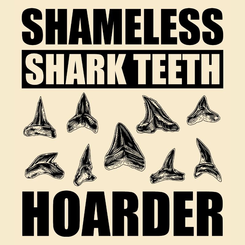 fossilized shark teeth