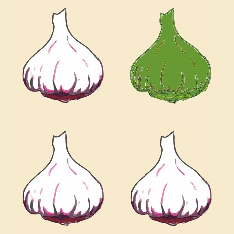 knoblauch 4er