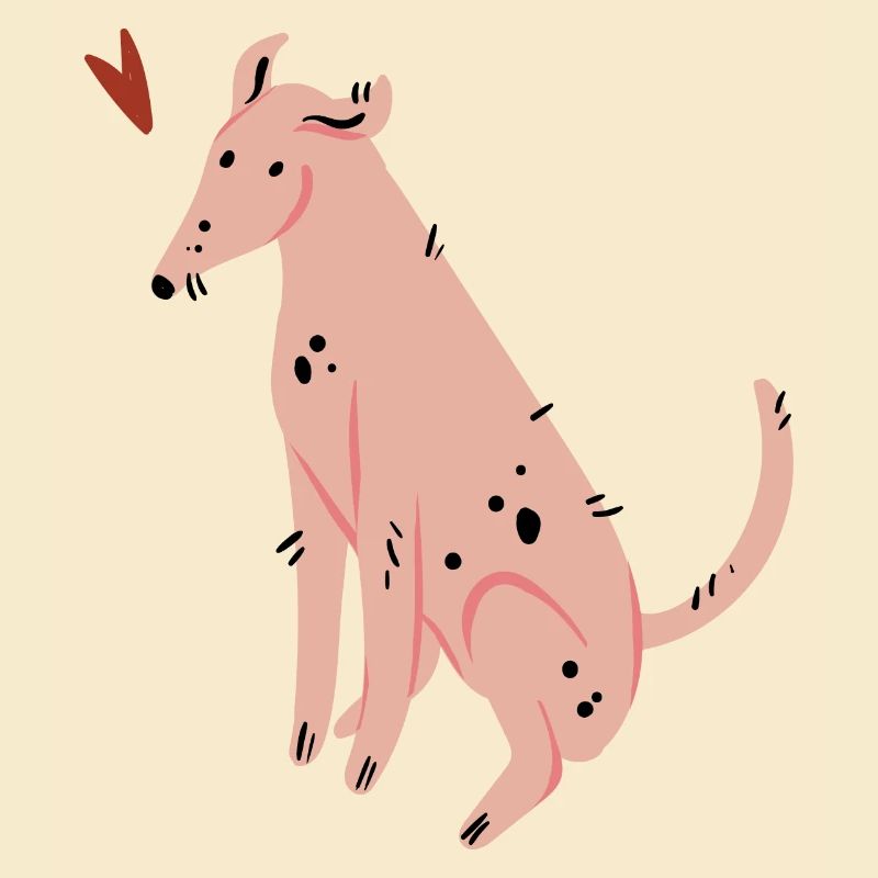 Hund