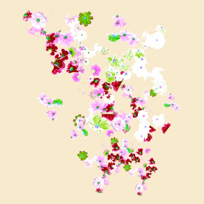 Pré, fleurs, fleurs, fleurs colorées