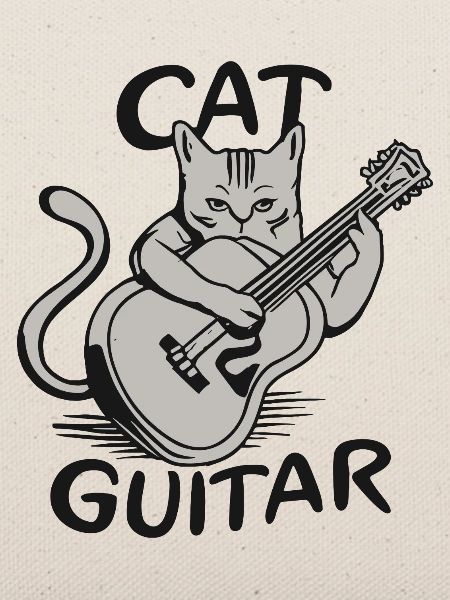 Gitarrist