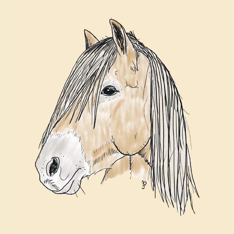 haflinger