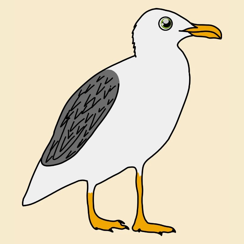 Möwe