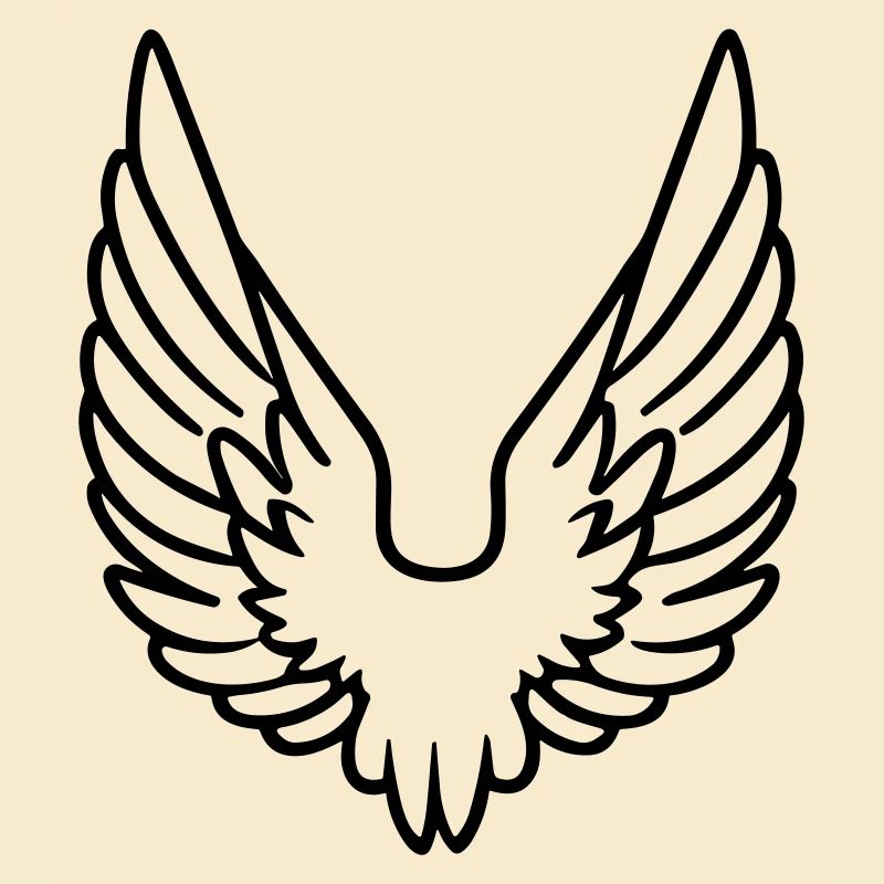 Ailes d'ange